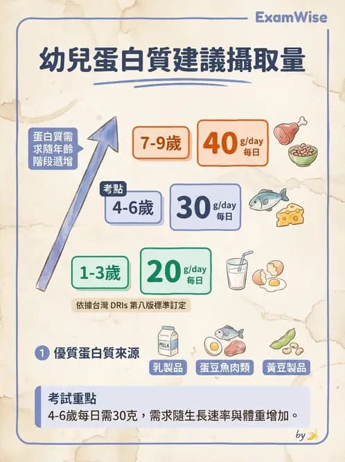 營養 - 機構供膳類型與特殊對象飲食設計 - AI 圖文解析預覽