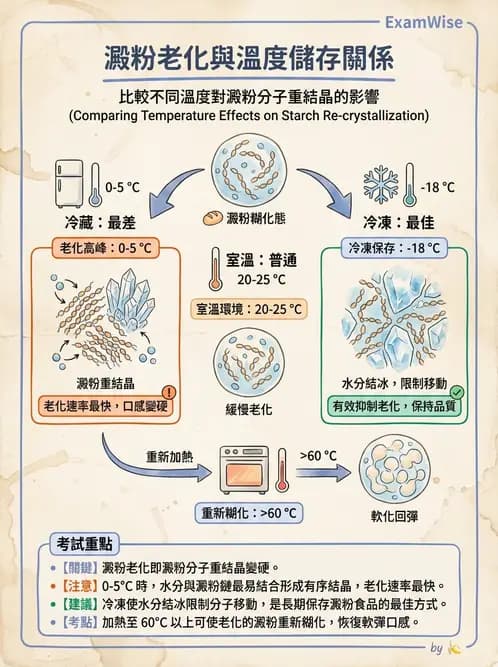 營養 - 穀類、澱粉與麵粉製備原理 - AI 圖文解析預覽