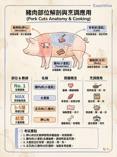 營養 - 動植物性食材製備原理 - AI 圖文解析預覽