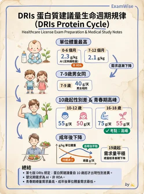 營養 - DRIs與飲食指南 - AI 圖文解析預覽