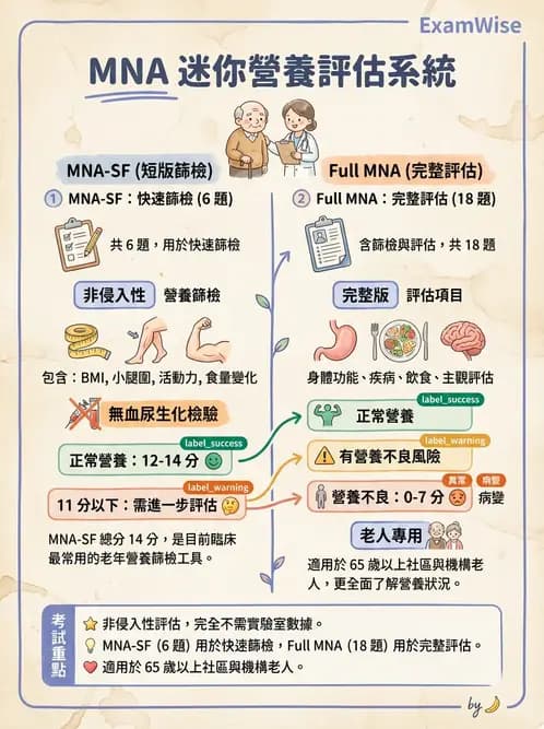 營養 - 營養篩檢與評估量表 - AI 圖文解析預覽