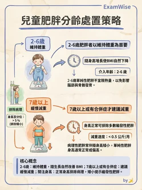 營養 - 體位評估 - AI 圖文解析預覽