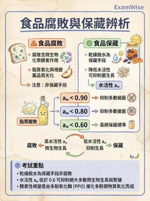 營養 - 食品腐敗微生物學 - AI 圖文解析預覽