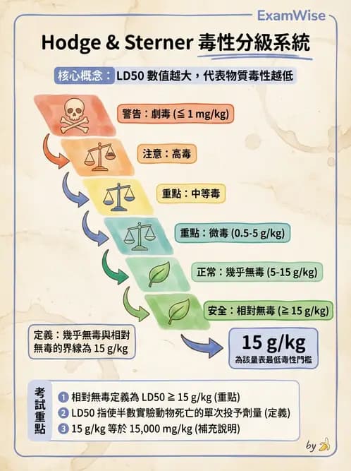 營養 - 食品安全性評估 - AI 圖文解析預覽