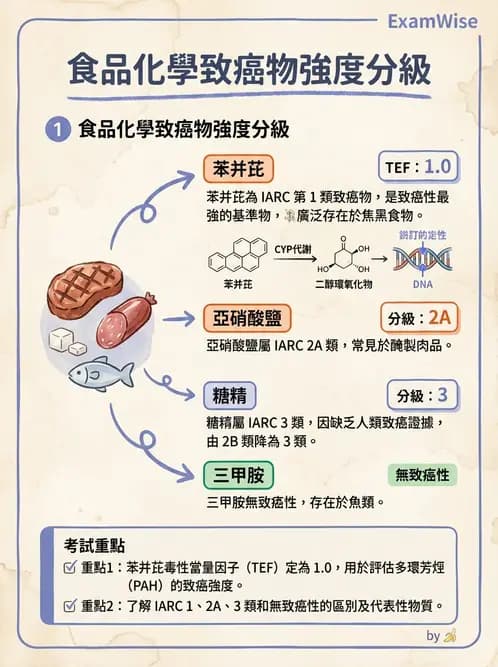 營養 - 化學性危害 - AI 圖文解析預覽