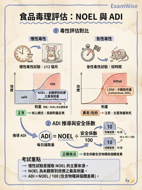 營養 - 食品安全性評估 - AI 圖文解析預覽
