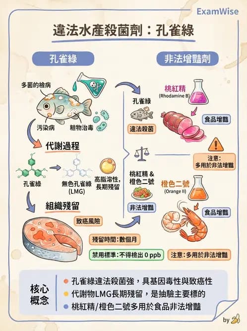 營養 - 化學性危害 - AI 圖文解析預覽