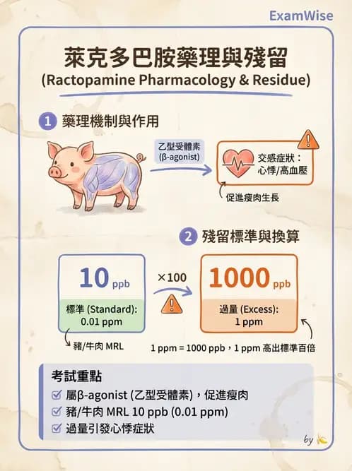 營養 - 化學性危害 - AI 圖文解析預覽