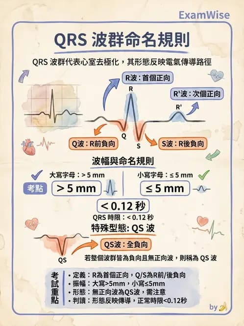 醫檢師 - 心電圖基礎與判讀 - AI 圖文解析預覽