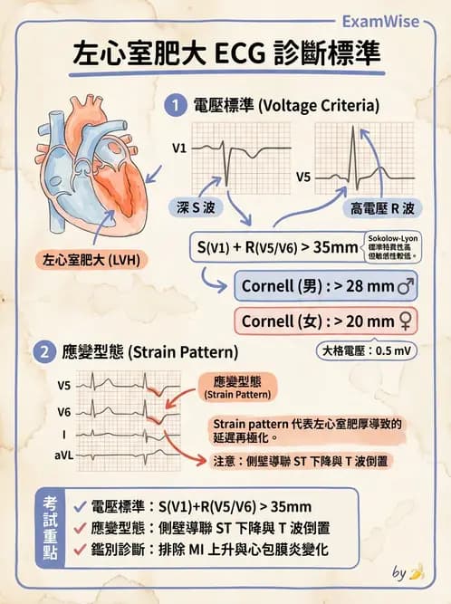 醫檢師 - 心肌病變與特殊心電圖 - AI 圖文解析預覽