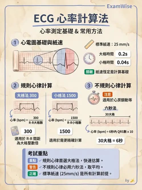 醫檢師 - 心電圖基礎與判讀 - AI 圖文解析預覽