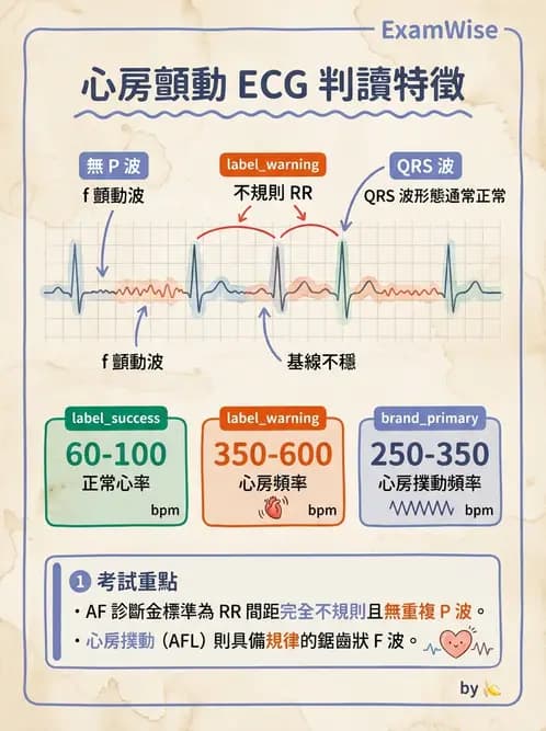 醫檢師 - 心律不整判讀 - AI 圖文解析預覽