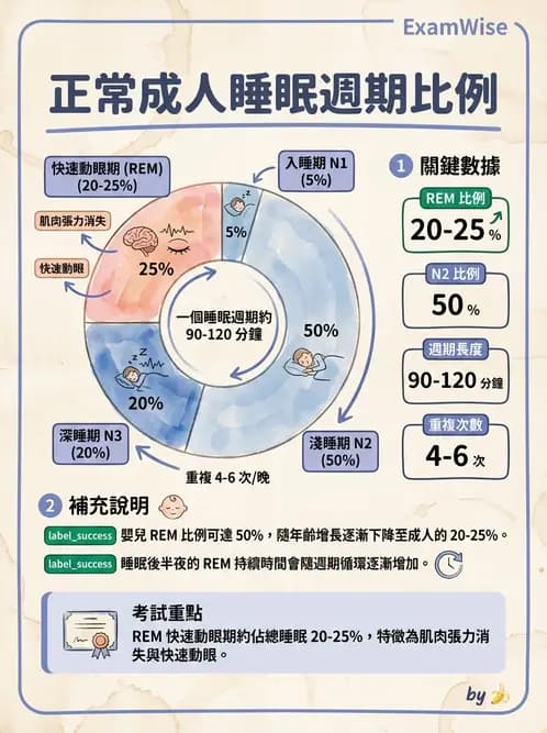 醫檢師 - 神經肌肉與睡眠檢查 - AI 圖文解析預覽
