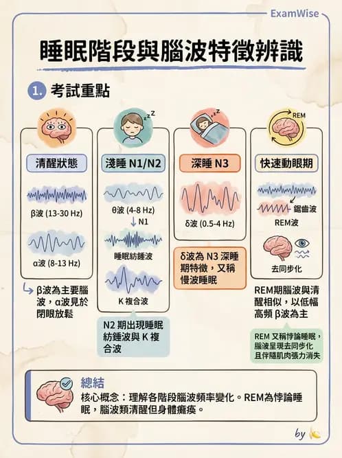 醫檢師 - 神經肌肉與睡眠檢查 - AI 圖文解析預覽