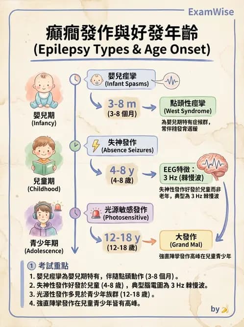 醫檢師 - 腦電圖檢查 - AI 圖文解析預覽