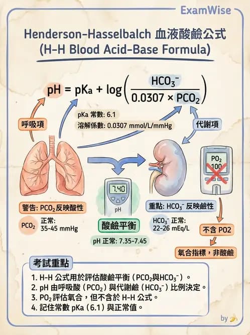醫檢師 - 血液氣體分析 - AI 圖文解析預覽