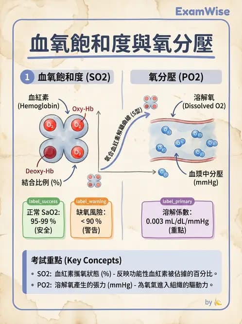 醫檢師 - 血液氣體分析 - AI 圖文解析預覽