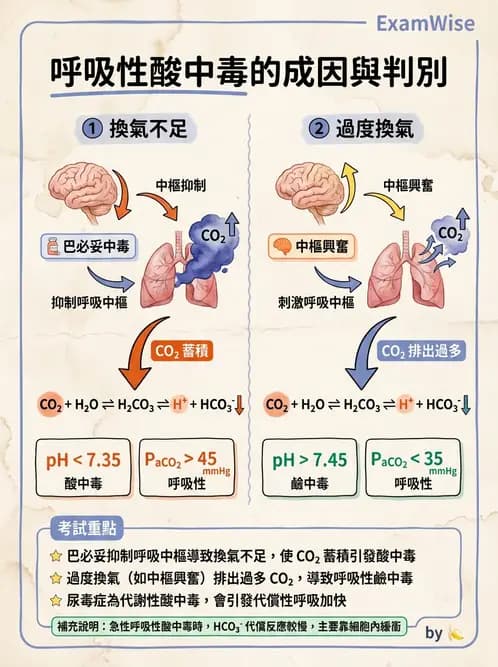 醫檢師 - 血液氣體分析 - AI 圖文解析預覽