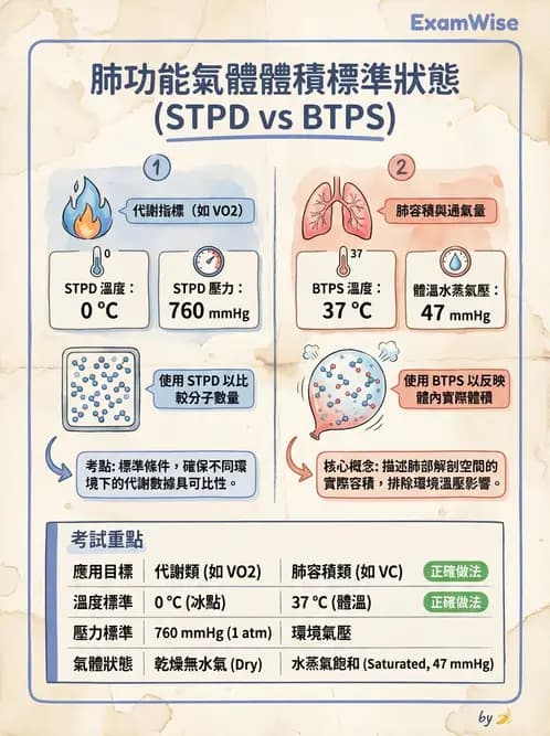 醫檢師 - 肺功能基礎與指標 - AI 圖文解析預覽