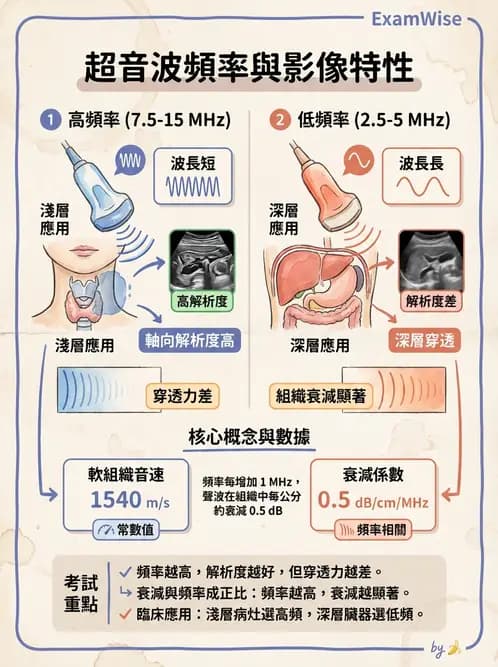 醫檢師 - 超音波檢查 - AI 圖文解析預覽