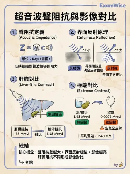 醫檢師 - 超音波檢查 - AI 圖文解析預覽
