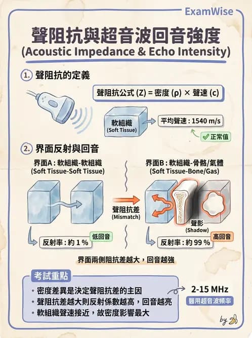 醫檢師 - 超音波檢查 - AI 圖文解析預覽