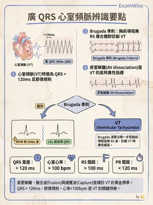 醫檢師 - 心肌病變與特殊心電圖 - AI 圖文解析預覽