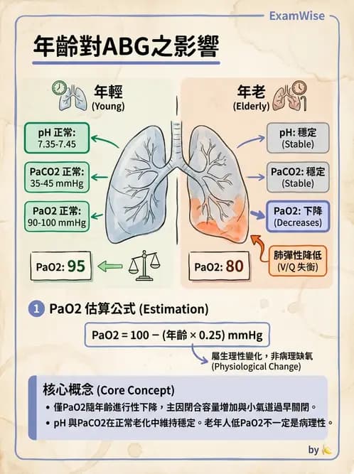 醫檢師 - 血液氣體分析 - AI 圖文解析預覽