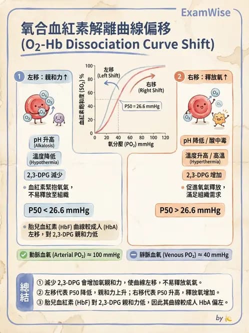 醫檢師 - 血液氣體分析 - AI 圖文解析預覽