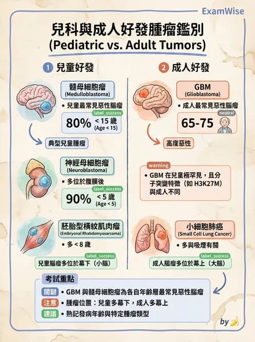 醫檢師 - 腫瘤概論 - AI 圖文解析預覽