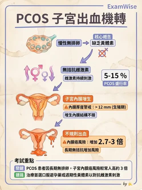醫檢師 - 乳房及女性生殖疾病 - AI 圖文解析預覽