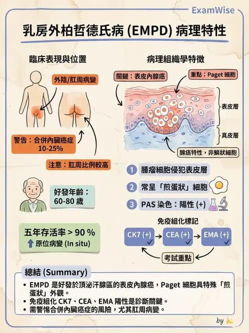 醫檢師 - 腫瘤概論 - AI 圖文解析預覽