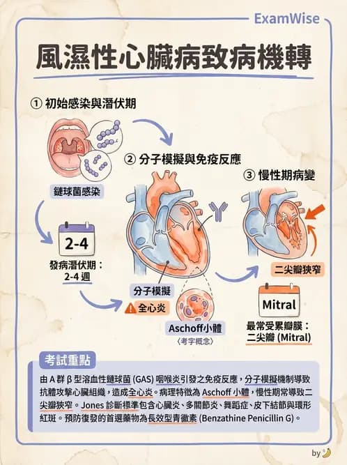 醫檢師 - 心血管疾病 - AI 圖文解析預覽