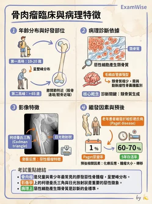 醫檢師 - 骨骼及軟組織疾病 - AI 圖文解析預覽