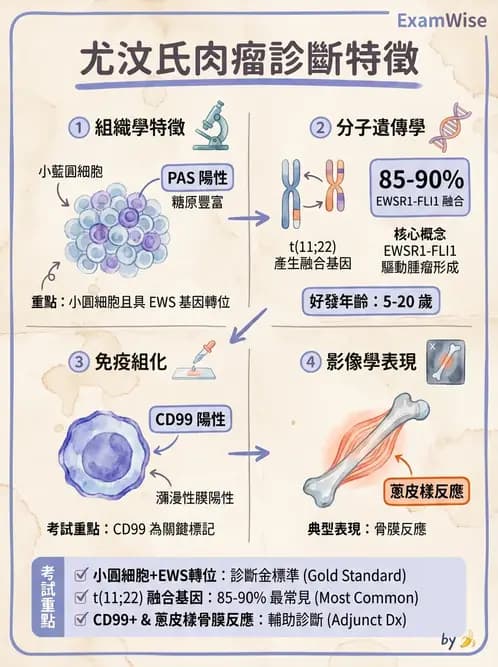 醫檢師 - 骨骼及軟組織疾病 - AI 圖文解析預覽