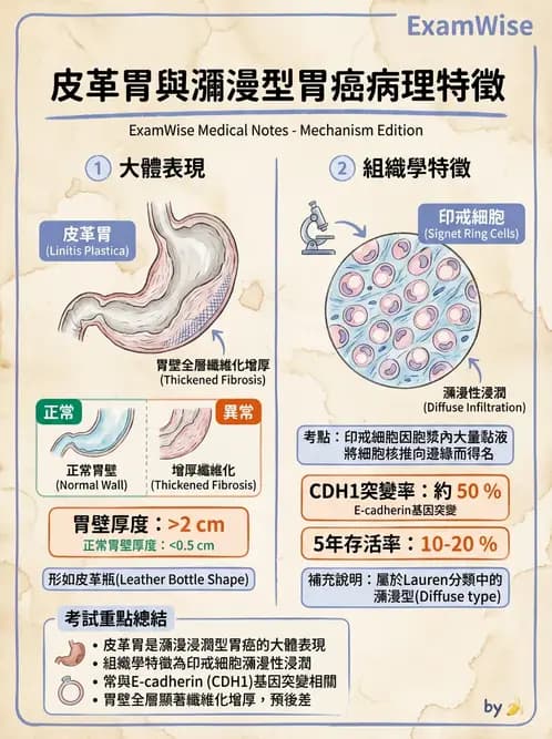 醫檢師 - 消化肝膽疾病 - AI 圖文解析預覽