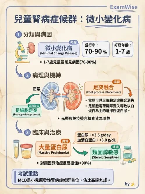 醫檢師 - 腎臟泌尿及男性生殖疾病 - AI 圖文解析預覽