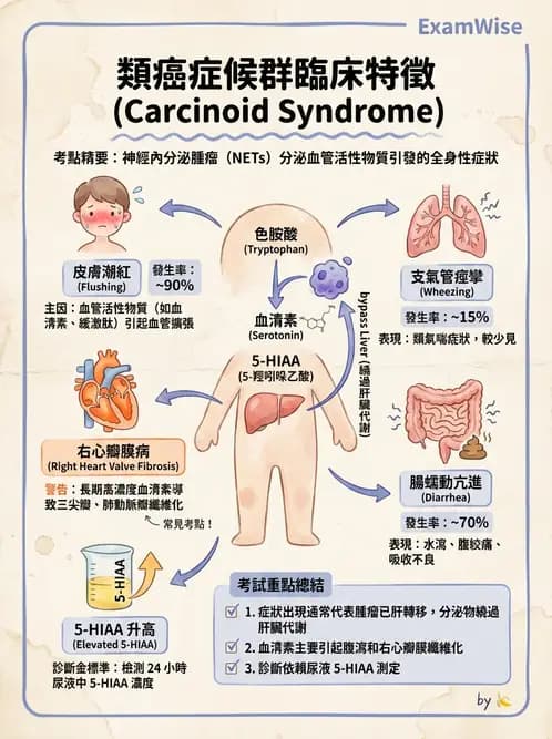 醫檢師 - 消化肝膽疾病 - AI 圖文解析預覽