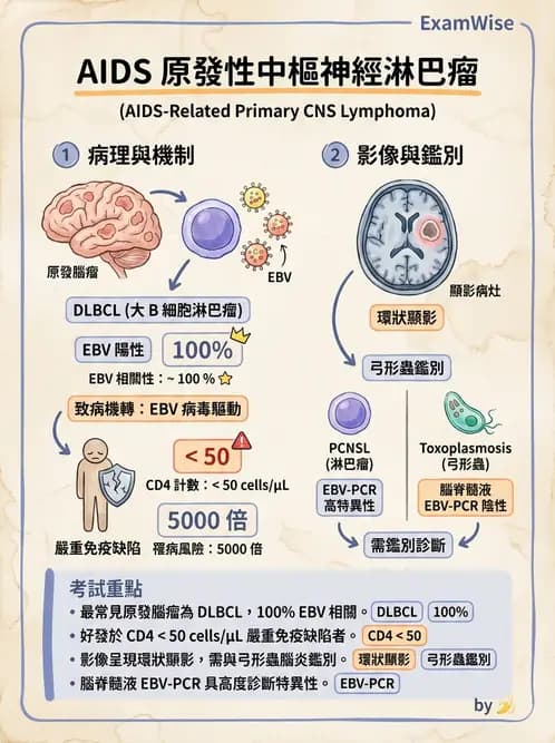醫檢師 - 神經系統疾病 - AI 圖文解析預覽