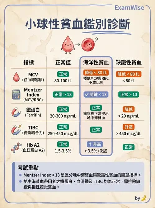 醫檢師 - 溶血性貧血與血色素病變 - AI 圖文解析預覽