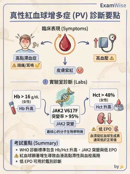 醫檢師 - 慢性血液腫瘤與骨髓增生疾患 - AI 圖文解析預覽