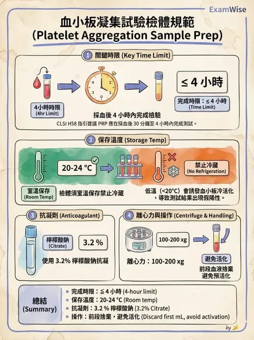 醫檢師 - 血小板與止血生理 - AI 圖文解析預覽