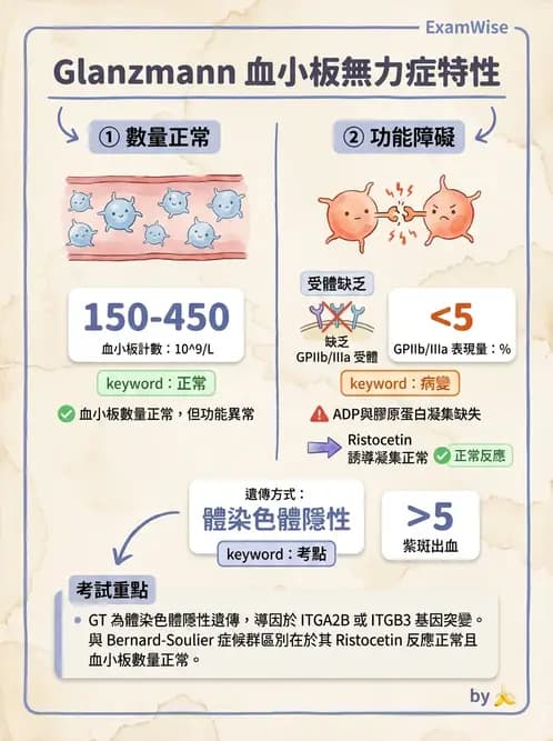 醫檢師 - 出血性疾病與檢驗 - AI 圖文解析預覽