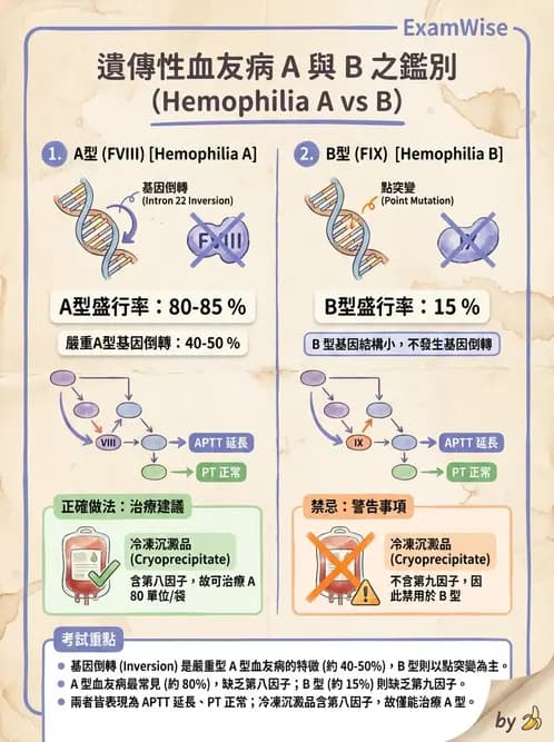 醫檢師 - 出血性疾病與檢驗 - AI 圖文解析預覽
