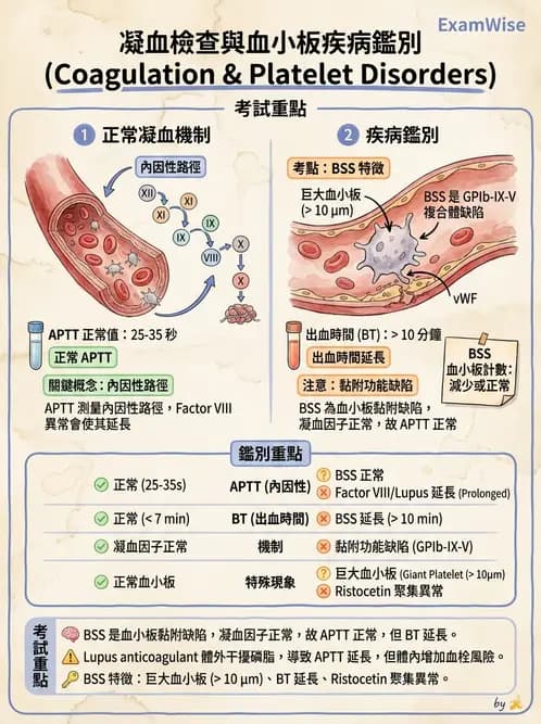 醫檢師 - 凝血因子與凝血檢驗 - AI 圖文解析預覽