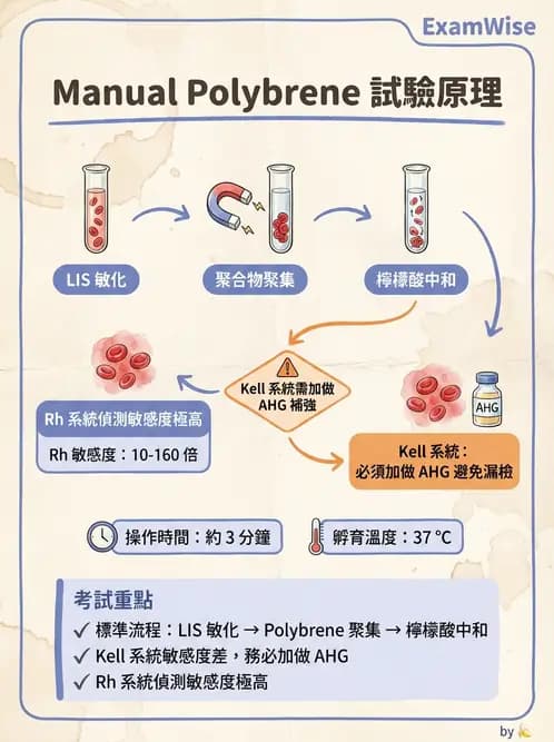 醫檢師 - 血液成分製備與輸血檢查 - AI 圖文解析預覽
