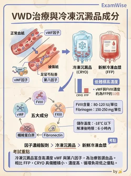 醫檢師 - 血液成分製備與輸血檢查 - AI 圖文解析預覽