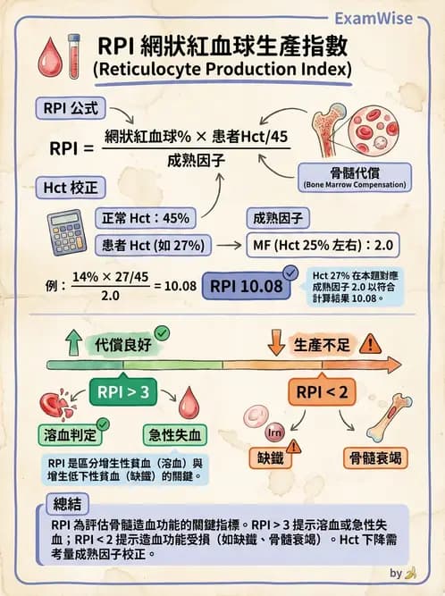 醫檢師 - 紅血球生理與形態 - AI 圖文解析預覽
