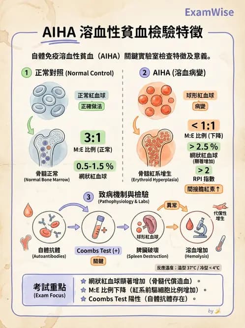 醫檢師 - 溶血性貧血與血色素病變 - AI 圖文解析預覽