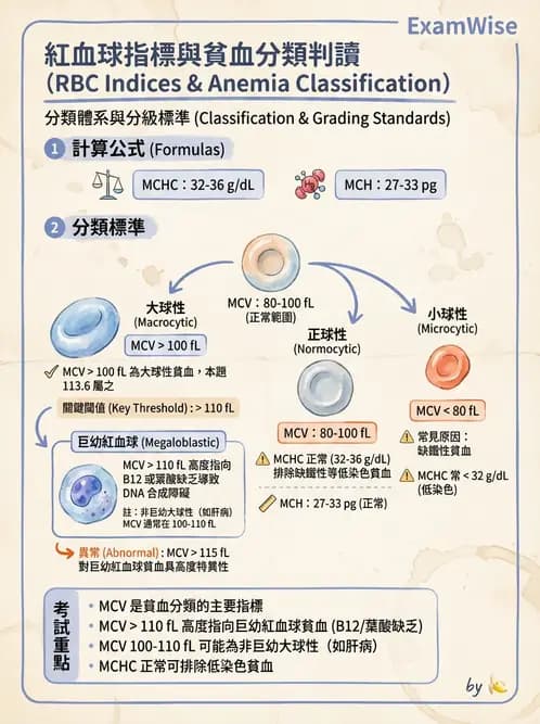 醫檢師 - 貧血診斷與營養缺乏性貧血 - AI 圖文解析預覽